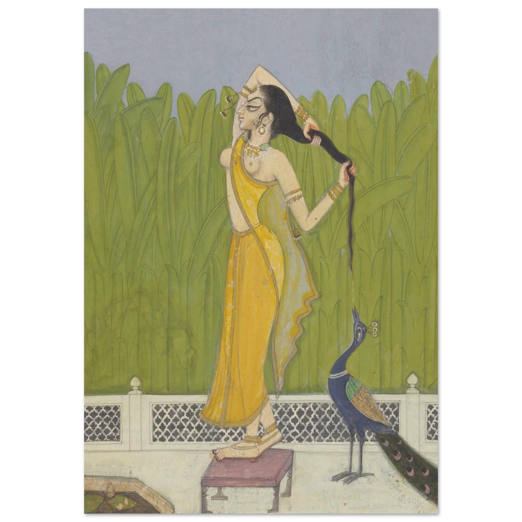 Woman in yellow sari drying hair with peacock watching