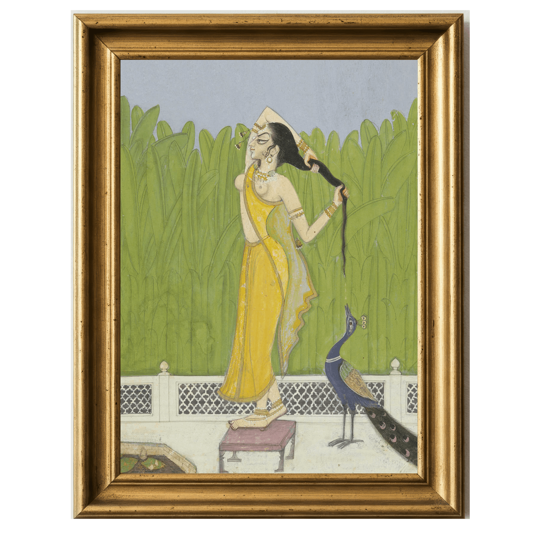 Woman in yellow sari drying hair with peacock watching