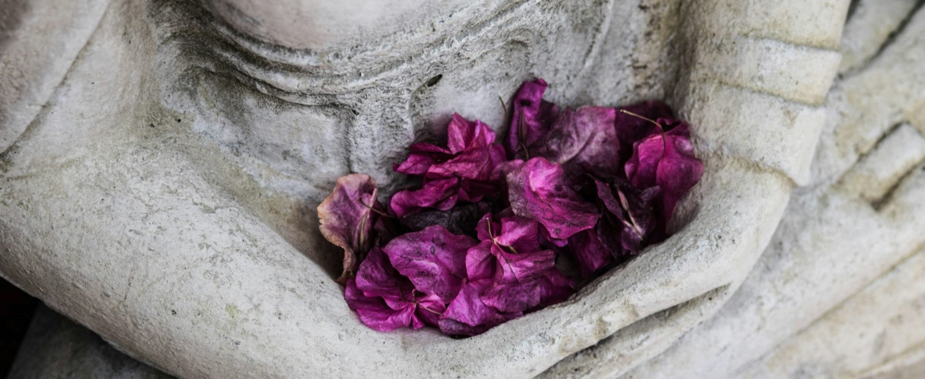The Alchemist Sanctuary - Where Art Meets the Soul
